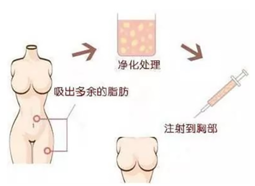 石红卫医生价格表