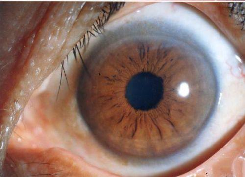 哈尔滨市阿城区人民医院眼科医生团队实力强大及骨干医生简介