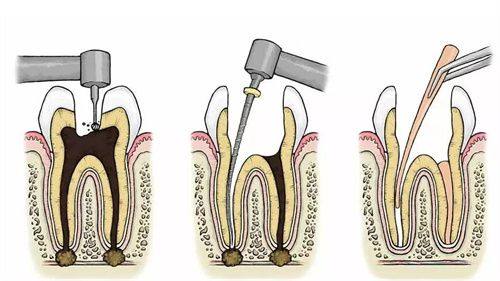深圳乐信口腔诊所地址电话营业时间