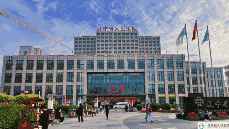 {辽宁省人民医院眼科