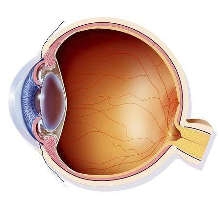 厦门市第五医院眼科简介概述