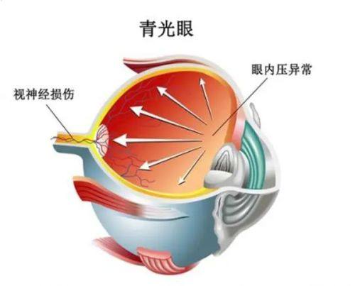 吉林大学第二医院详细的预约挂号方式及流程