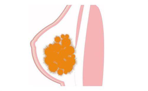 上海宏康医院详细的预约挂号方式及流程