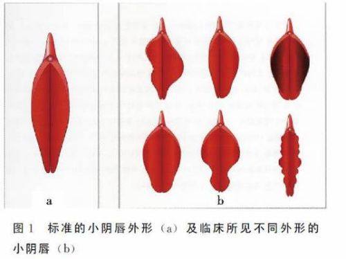 扬州丽致医疗美容门诊部是正规医院吗？