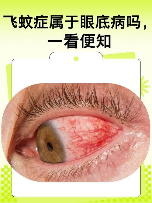 福建省福州儿童医院眼科收费价格表/收费标准