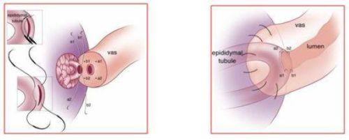 重庆医 科 大学附属第二医院数字口腔中 心真人口碑评价怎么样？