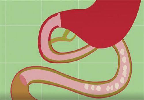 重庆医 科 大学附属第二医院数字口腔中 心医生团队实力强大及骨干医生简介