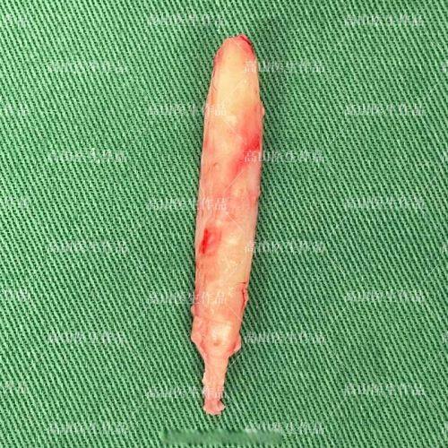 肇庆华美整形美容医院地址电话营业时间