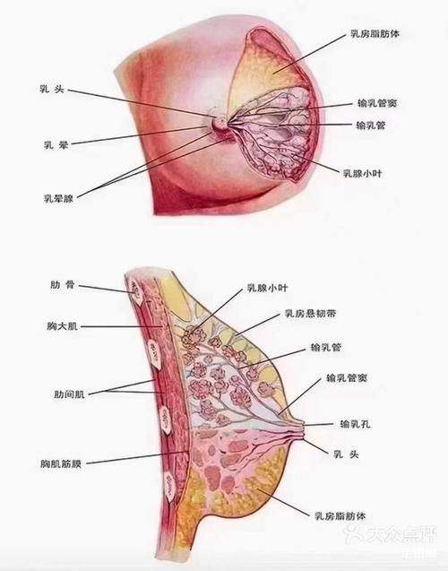 西双版纳悦她婕熹卡医疗美容门诊部是正规医院吗？