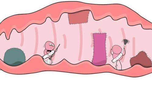 西双版纳悦她婕熹卡医疗美容门诊部收费价格表/收费标准