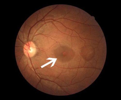 秦皇岛市中医医院眼科简介概述