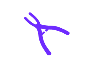 北京好牙口腔(丰台总院)详细的预约挂号方式及流程