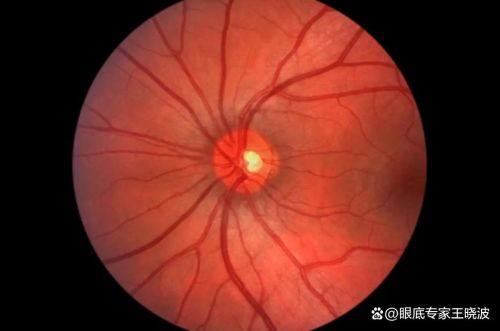 云南省妇幼保健院眼科简介概述