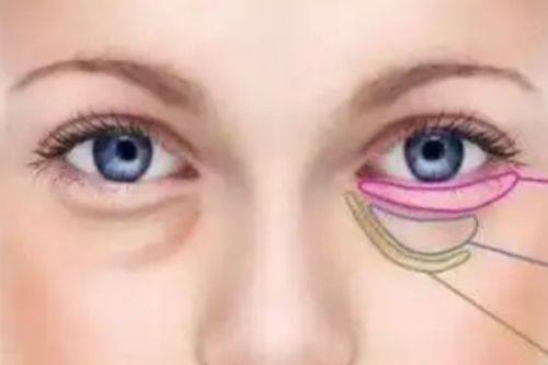 金会原医生预约挂号