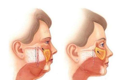 金会原院长价格表