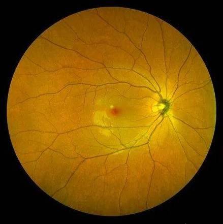 安徽中 医 药大学第一附属医院眼科医生团队实力强大及骨干医生简介