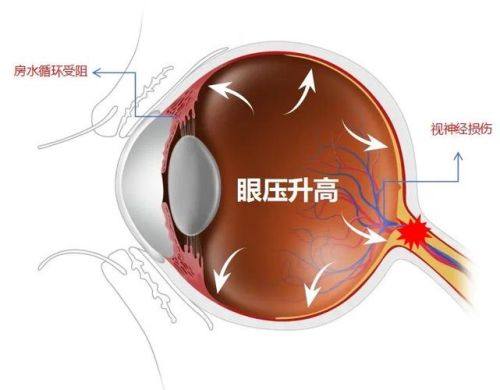 广元小青草眼科医院地址电话营业时间