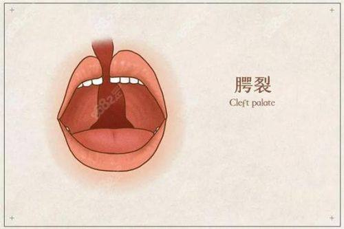 宜宾市第一人民医院(整形烧伤科)详细的预约挂号方式及流程