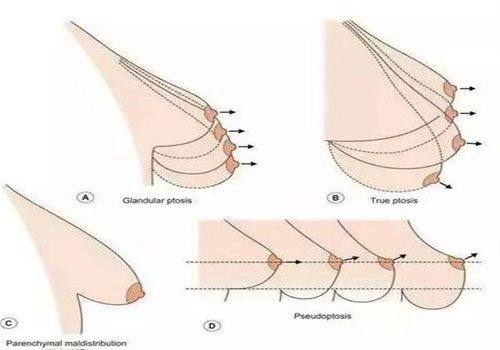 崔磊医生预约挂号