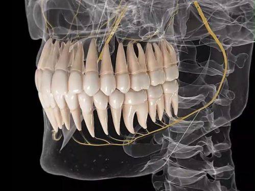 长沙美奥口腔（河西店）详细的预约挂号方式及流程