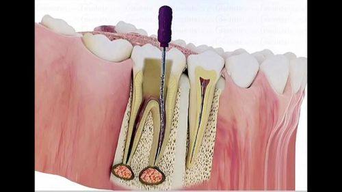 哈尔滨大象口腔门诊部特色项目及技术优势