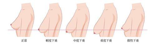 马子君医生坐诊医院