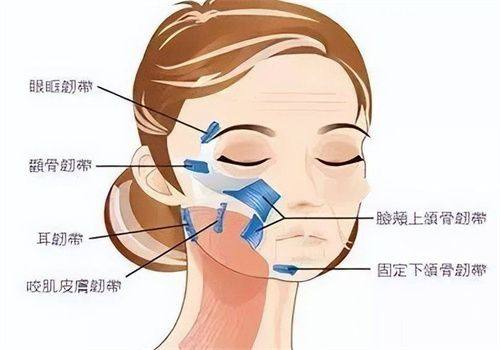 广州艾美医疗美容整形门诊部地址电话营业时间