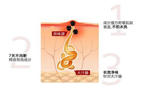 马子君医生价格表