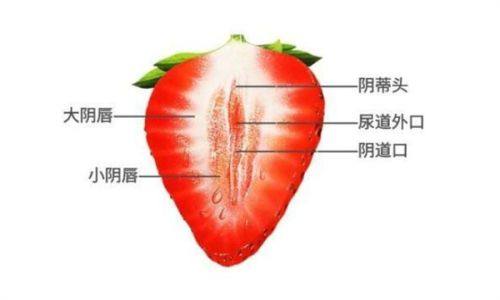 石家庄市中 心医院收费价格表/收费标准