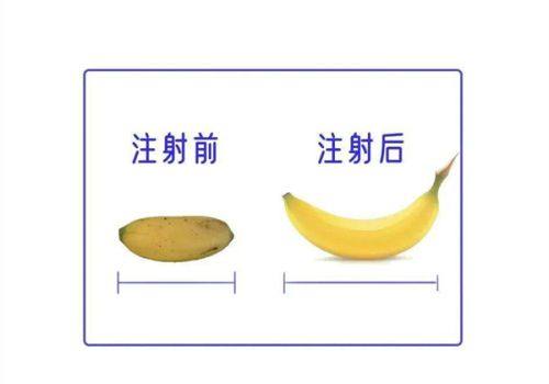 石家庄市中 心医院地址电话营业时间