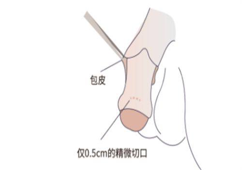 陈秀琴医生价格表