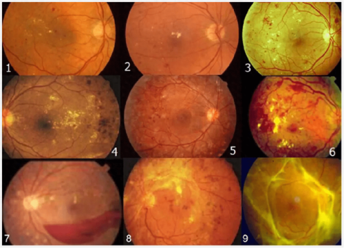 长春市儿童医院眼科医生团队实力强大及骨干医生简介