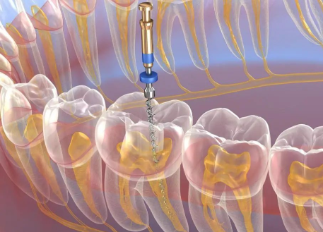 陈小丽医生执医荣誉
